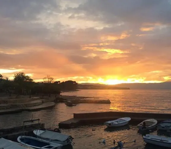 Antunovic מאלינסקה